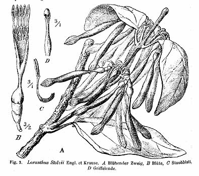 no HD illustration available (4)