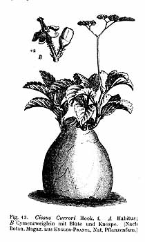 no HD illustration available (4)