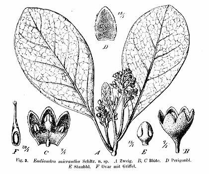 no HD illustration available (4)