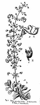 no HD illustration available (4)