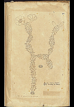 no HD illustration available (4)