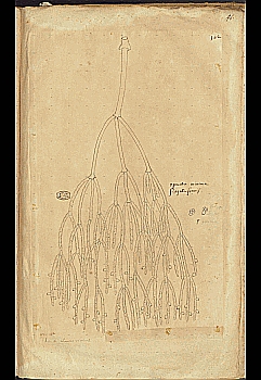 no HD illustration available (4)