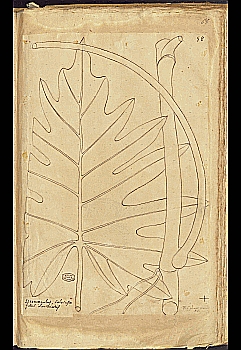 no HD illustration available (4)