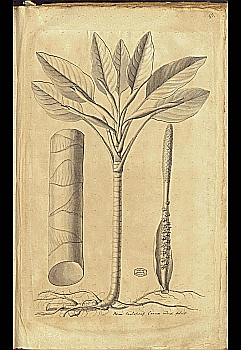 no HD illustration available (4)