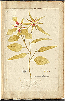 no HD illustration available (4)