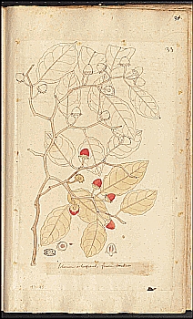 no HD illustration available (4)