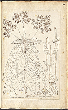 no HD illustration available (4)