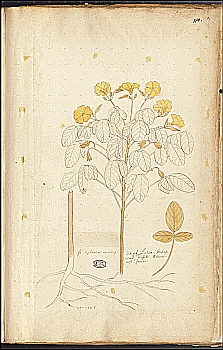 no HD illustration available (4)