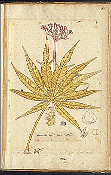 no HD illustration available (4)