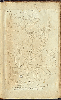 no HD illustration available (4)