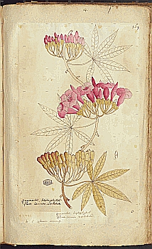 no HD illustration available (4)