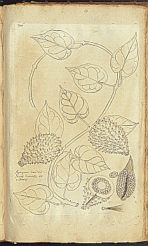 no HD illustration available (4)