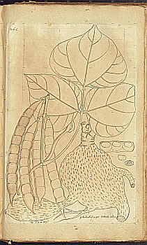 no HD illustration available (4)