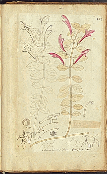 no HD illustration available (4)