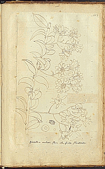 no HD illustration available (4)