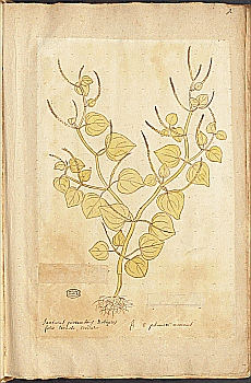 no HD illustration available (4)