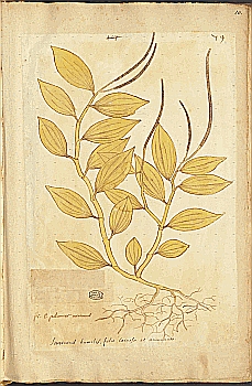 no HD illustration available (4)