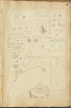 no HD illustration available (4)