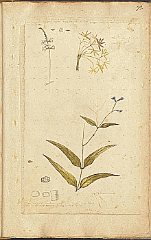 no HD illustration available (4)