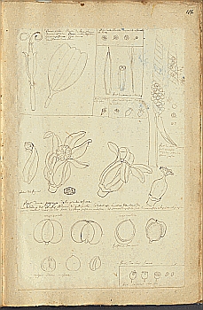 no HD illustration available (4)