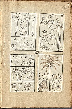 no HD illustration available (4)