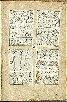 no HD illustration available (4)