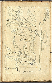 no HD illustration available (4)