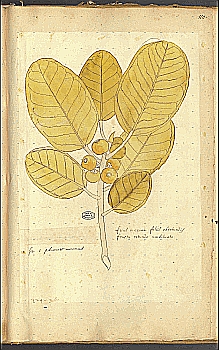 no HD illustration available (4)