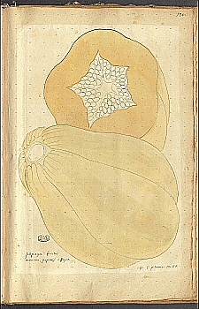 no HD illustration available (4)