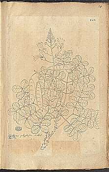 no HD illustration available (4)