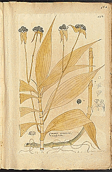 no HD illustration available (4)