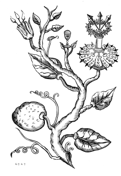 no HD illustration available (4)