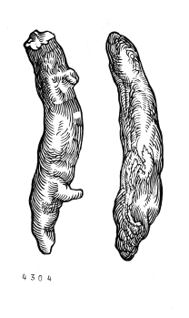 no HD illustration available (4)