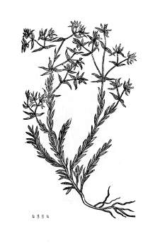 no HD illustration available (4)