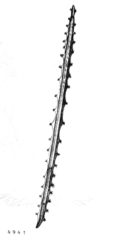 no HD illustration available (4)