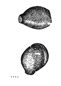 no HD illustration available (4)