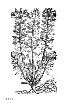 no HD illustration available (4)