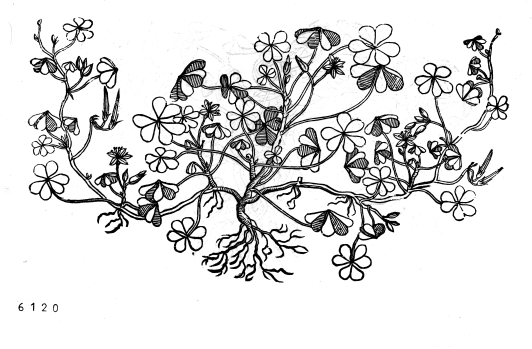 no HD illustration available (4)