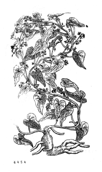 no HD illustration available (4)