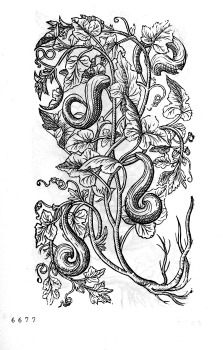 no HD illustration available (4)