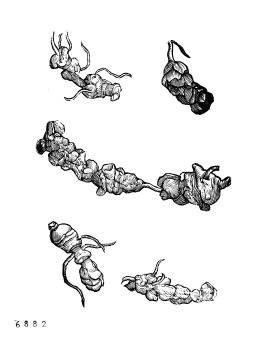 no HD illustration available (4)