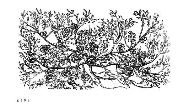 no HD illustration available (4)