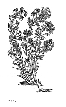 no HD illustration available (4)