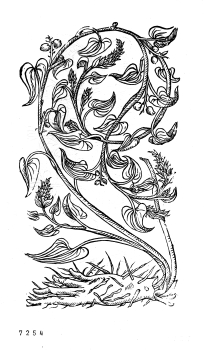 no HD illustration available (4)