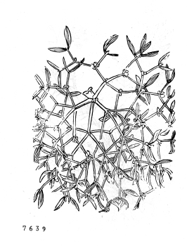 no HD illustration available (4)