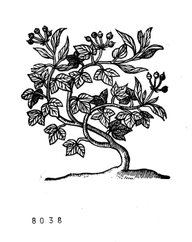 no HD illustration available (4)