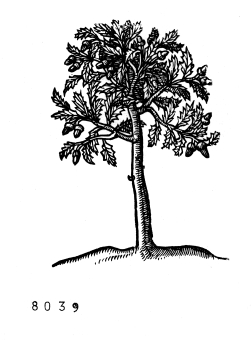 no HD illustration available (4)