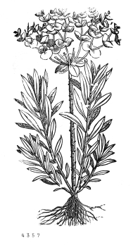 no HD illustration available (4)