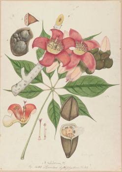 no HD illustration available (4)