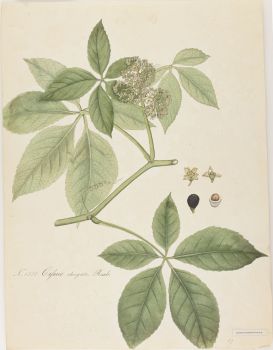 no HD illustration available (4)